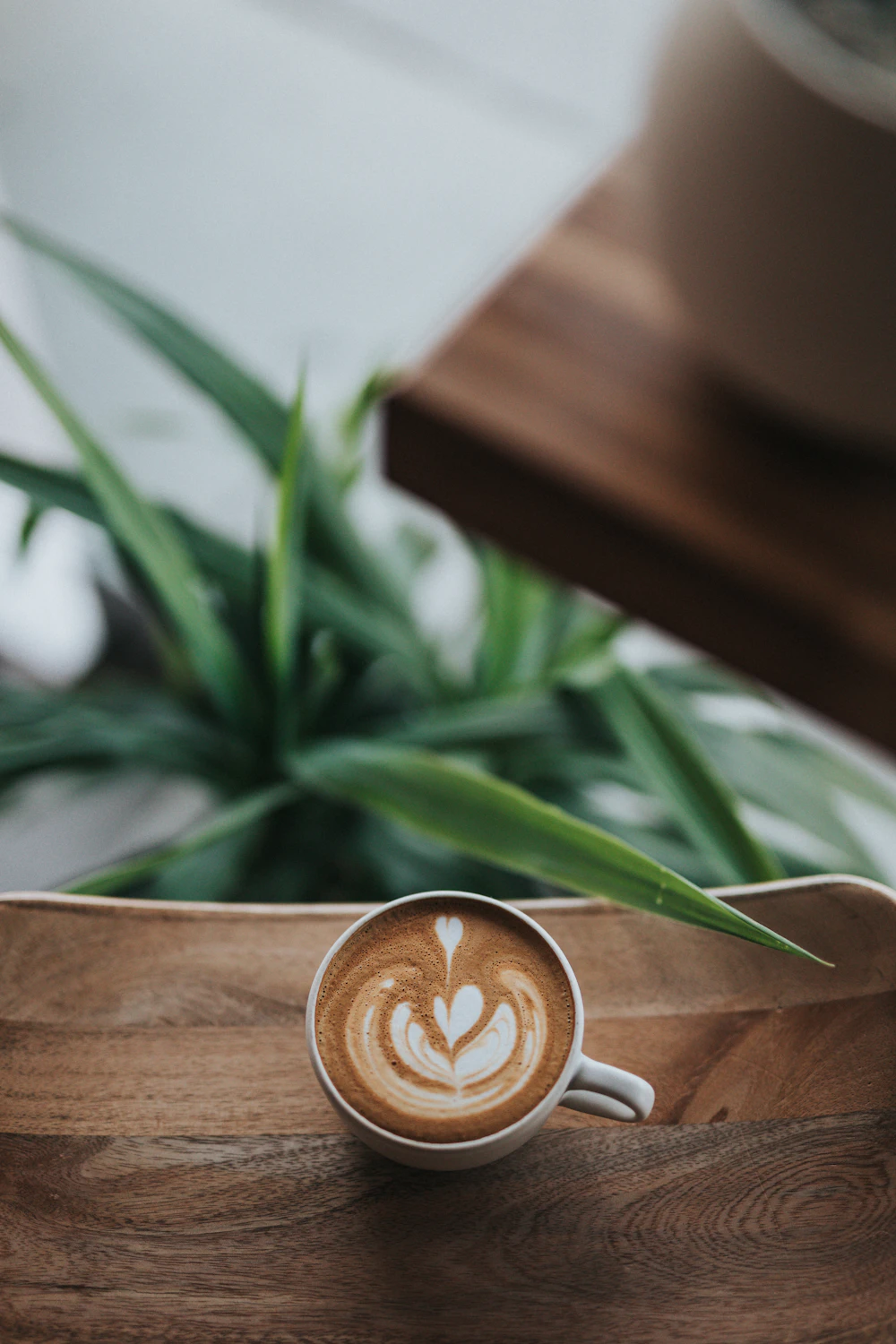 A coffee on a wooden table beside greenery